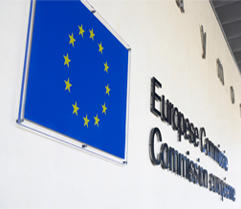 Immagine bandiera UE